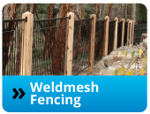 weldmesh-fencing