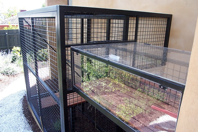 Cat Enclosure